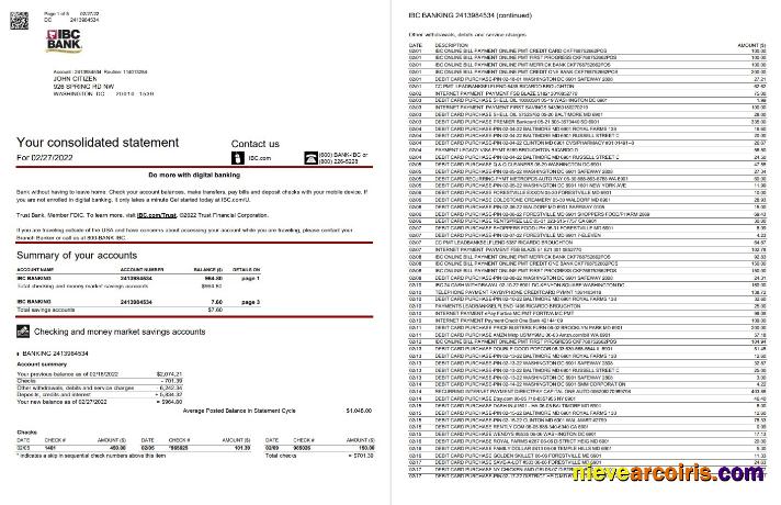 USA IBC bank statement 5 page